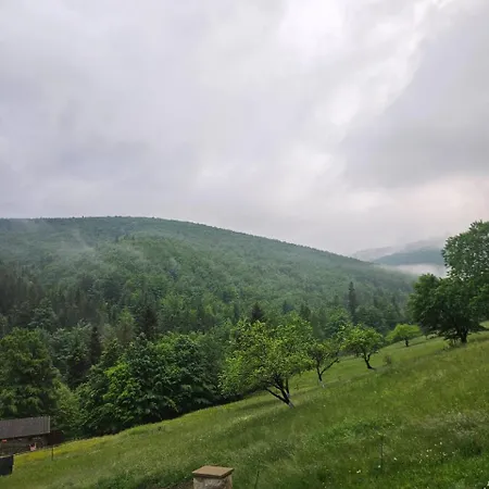 наш край